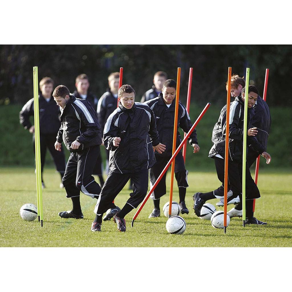 Precision Spring-Base Boundary Poles image 0