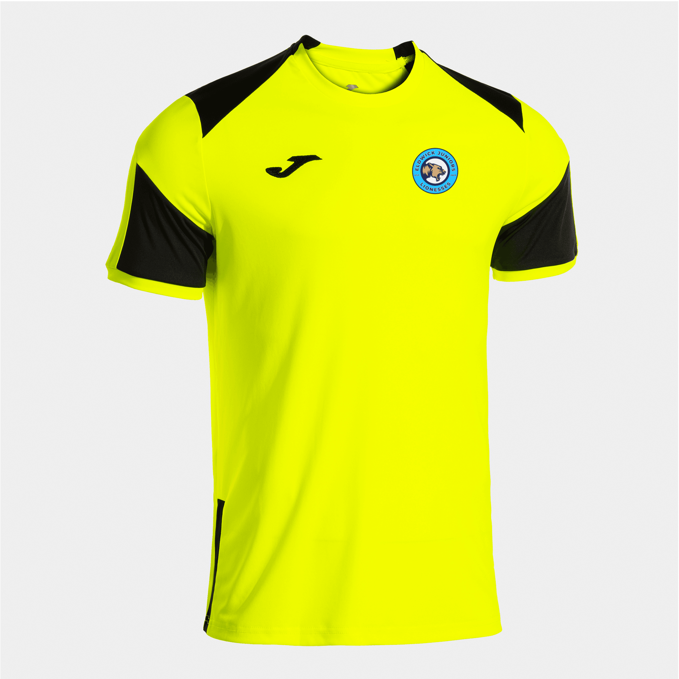 Eldwick Lioness Coaches Alternative Training Tee image 0