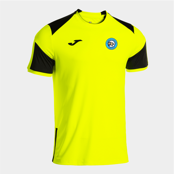 Eldwick Lioness Coaches Alternative Training Tee image 0