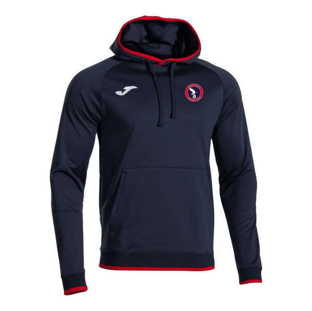 Eldwick Juniors Hoodie - L image