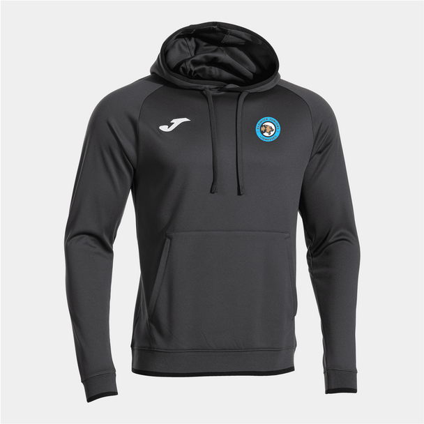 Eldwick Lioness Coaches Joma Combi Premium Hoodie image 0